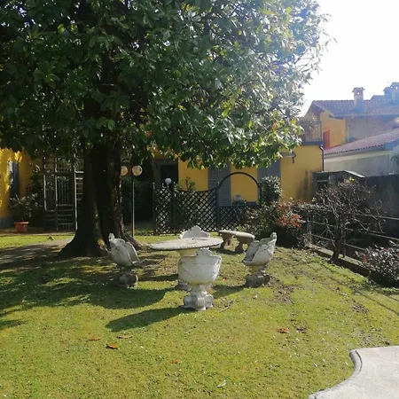 Timeless Garden