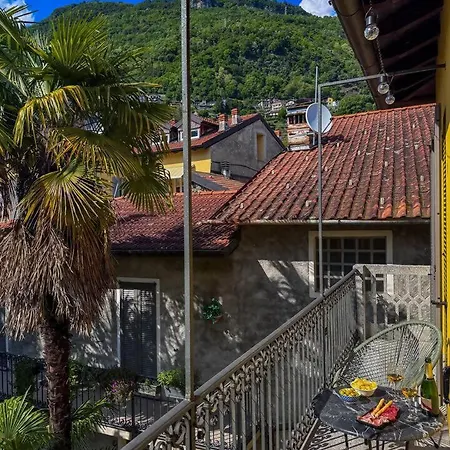 Timeless Garden غْرافيدونا