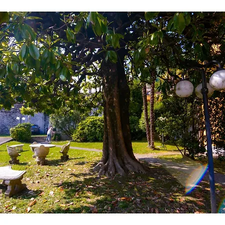 Timeless Garden