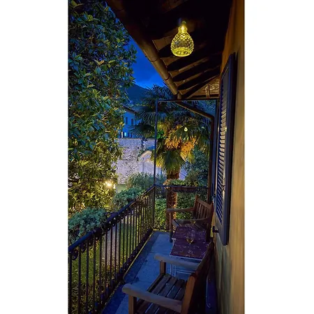 Timeless Garden *