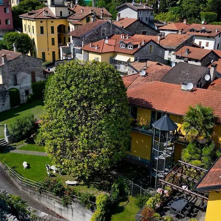 Timeless Garden 그라베도나